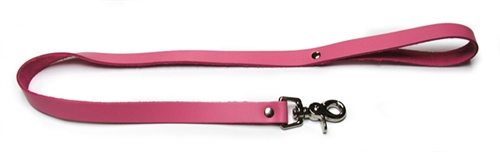 Leather leash.