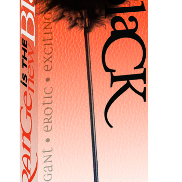 Orange Is the New Black Riding Crop and Tickler
