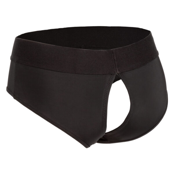 Her Royal Harness Backless Brief - L/xl