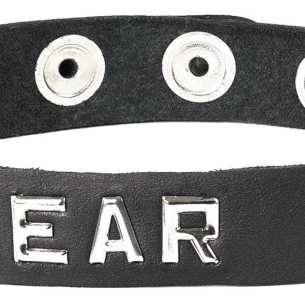Collar - Bear