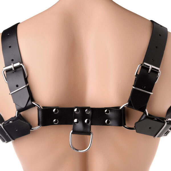 English Bull Dog Harness