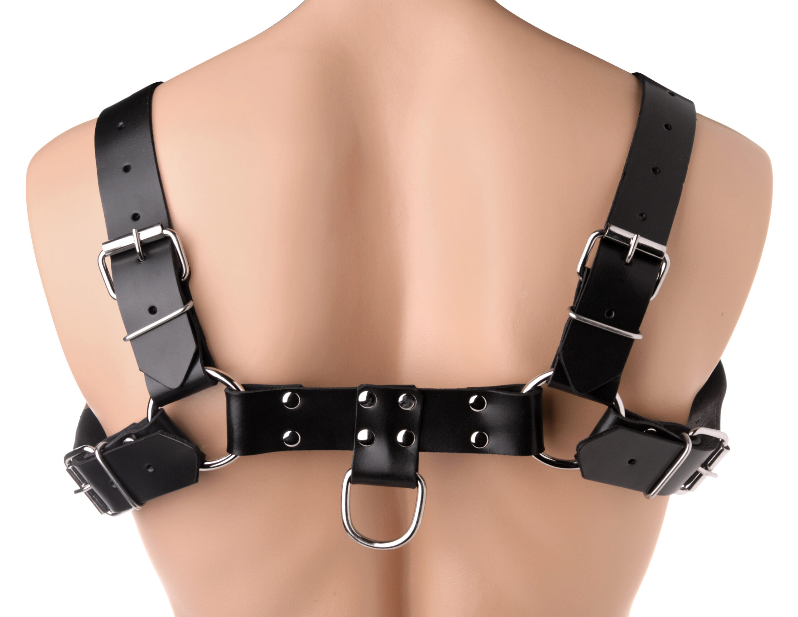 English Bull Dog Harness