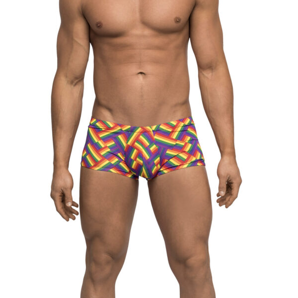 Pride Fest - Mini Short - Small - Print