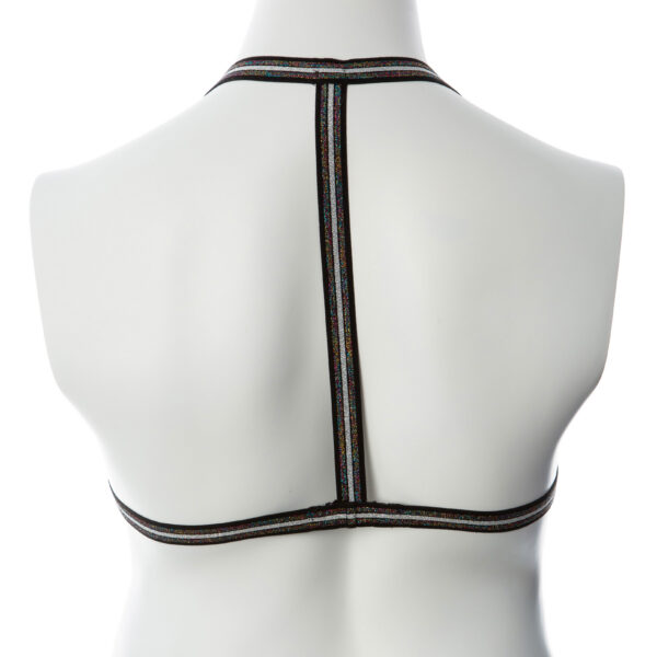 Gender Fluid Silver Lining Harness - Large/xxlarge - Multi-Color