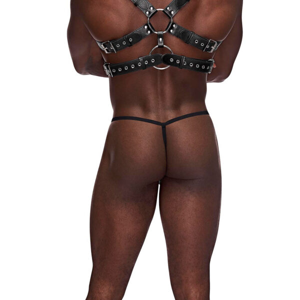 Gemini Leather Harness - One Size - Black