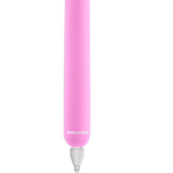 Carnation - Pink