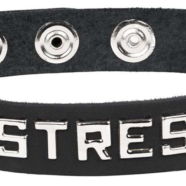 Sm Collar - Mistress