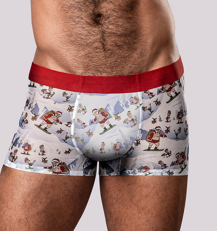 Christmas Trunks Seamless Sheer Short - Large