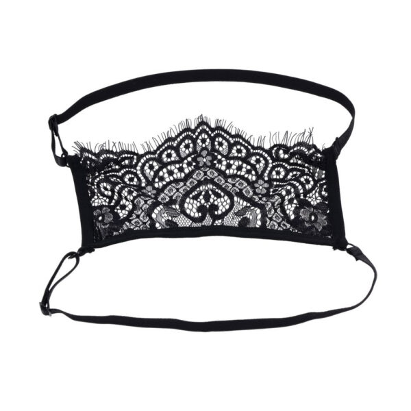 Veiled Vision Lace Blindfold