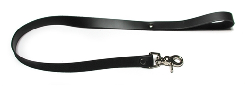 Leather leash.