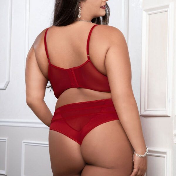 Cinnamon Red 2pc Satin Bra and High Waist Panty - Queen Size