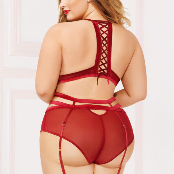 Applique & Mesh Bra Set - 1x2x - Burgundy